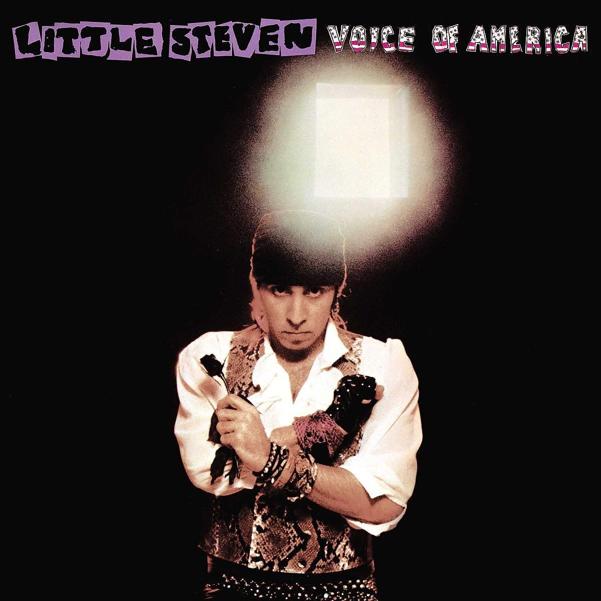 VOICE OF AMERICA (CD + DVD) cd
