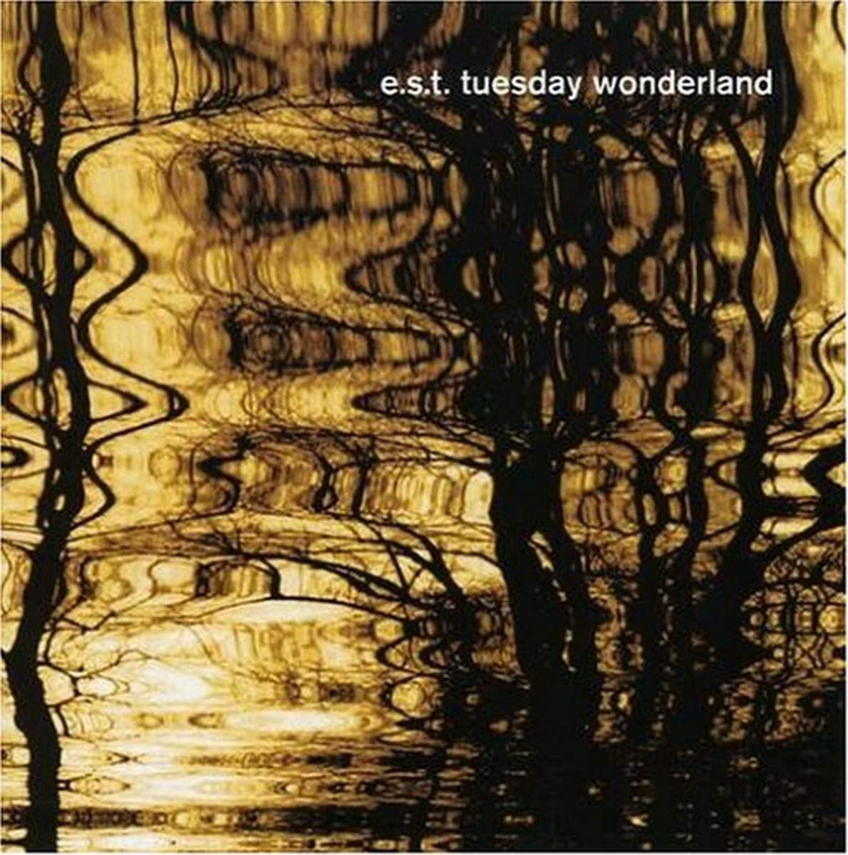Tuesday Wonderland Jazz