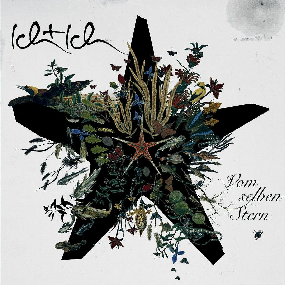 Product Image: Vom Selben Stern (CD + DVD)