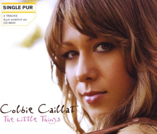 The Little Things (2-Track) Pop