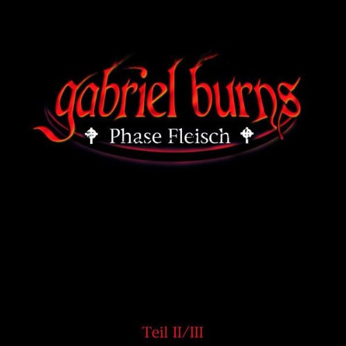 Phase Fleisch-Teil II/III (Collector'S Box) Children & Young People Audio Books