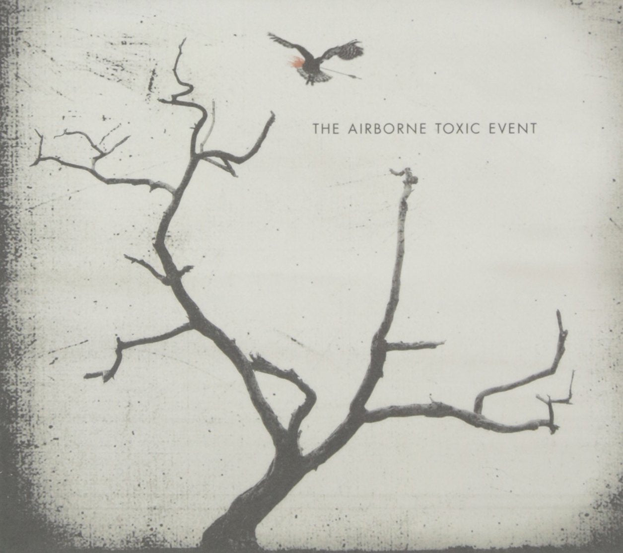 The Airborne Toxic Event (Ltd.Deluxe Edt.) Rock