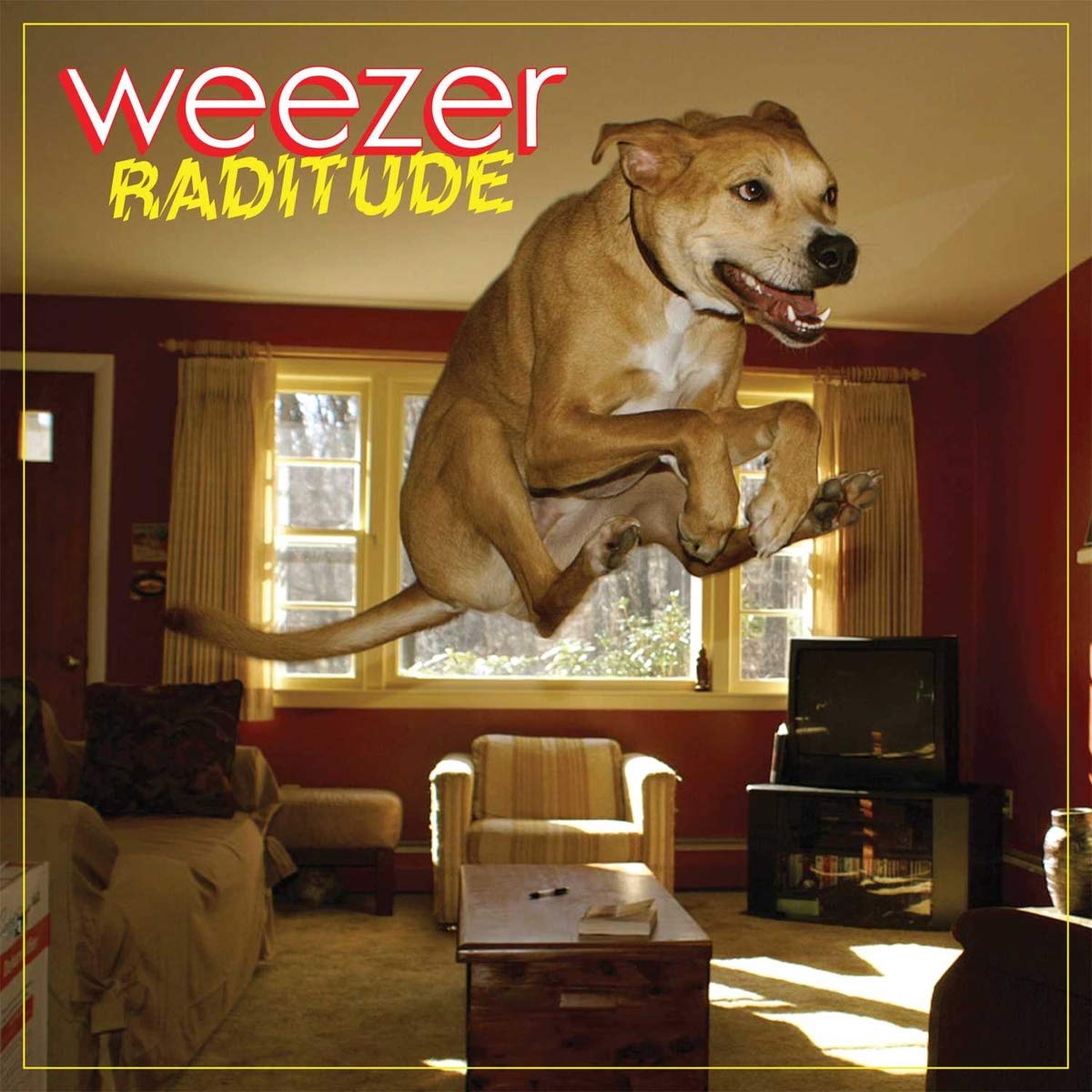 Raditude Alternative & Indie