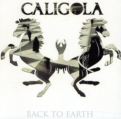 Product Image: Back To Earth