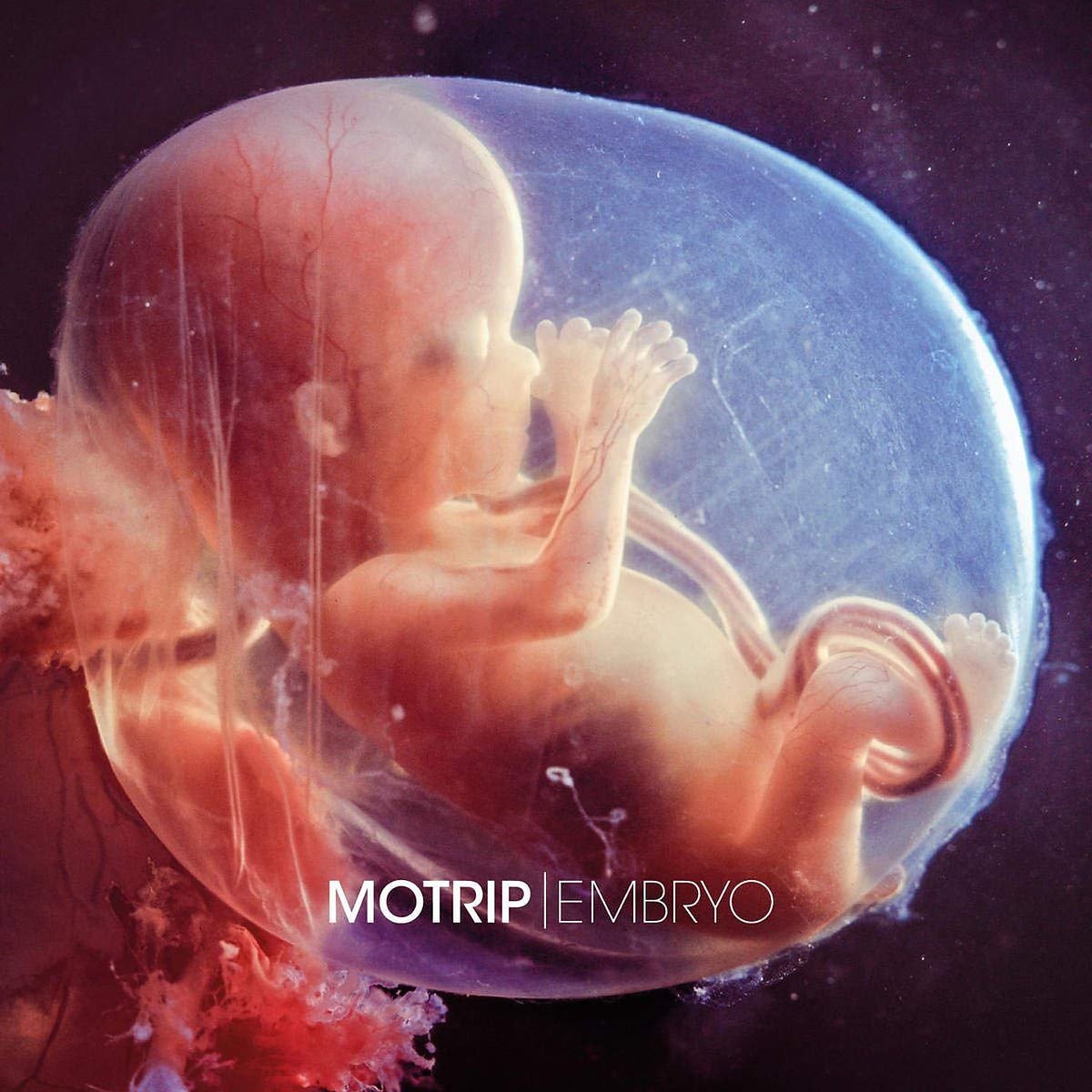 Embryo (Doppelvinyl / Limited Edition inkl. MP3 Download-Code) Rap & Hip-Hop