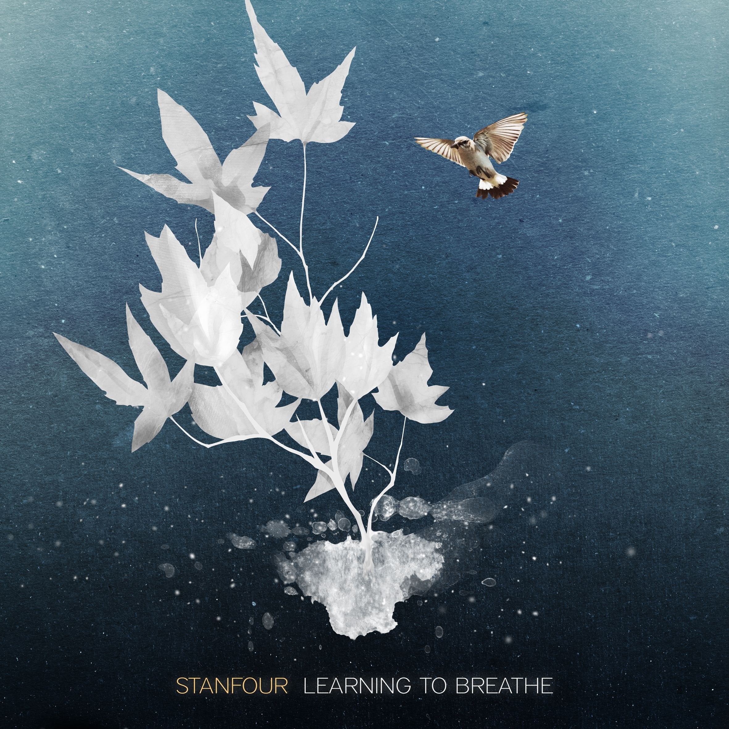 Learning to Breathe (2-Track) Pop