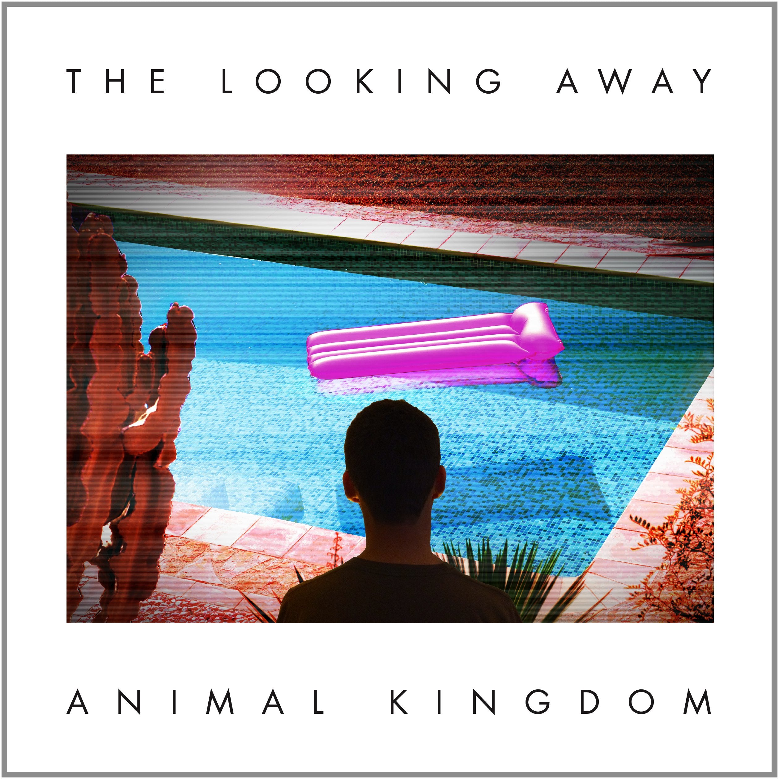 Product Image: The Looking Away