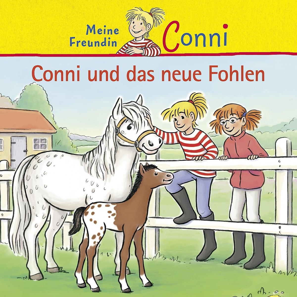 40: Conni und das neue Fohlen Children & Young People
