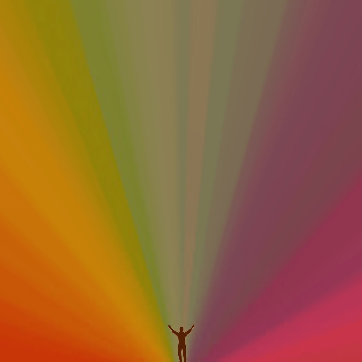 Edward Sharpe & The Magnetic Zeros Pop