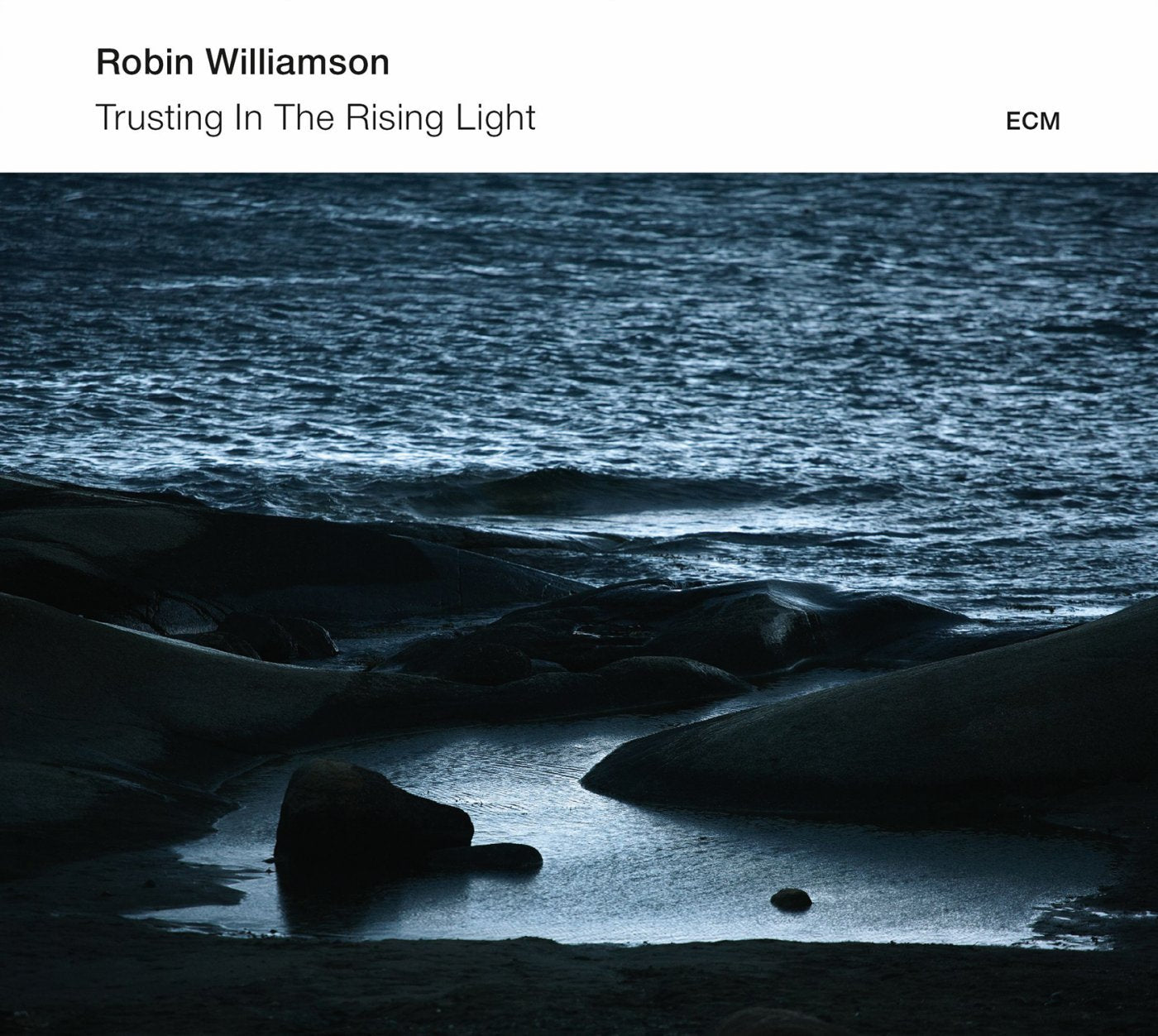 Trusting In The Rising Light (2014) Jazz