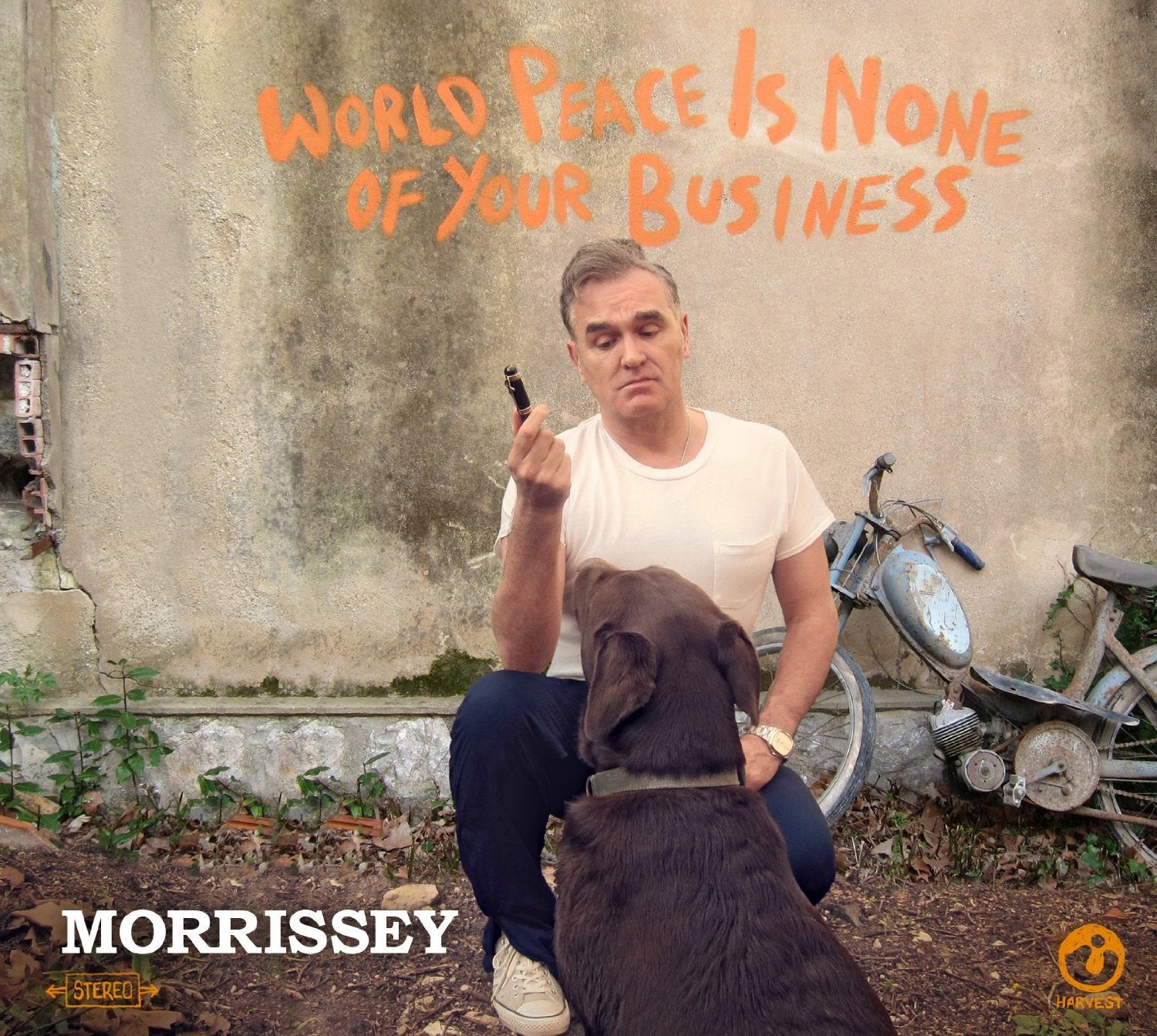 World Peace Is None of Your Business Rock