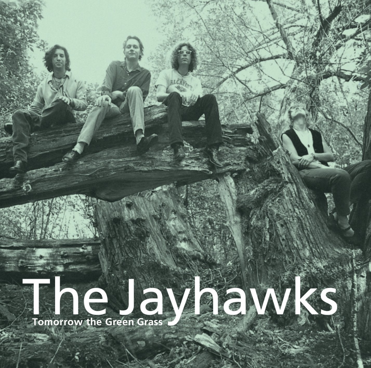 Tomorrow The Green Grass (Limited Edition 2014 Reissue) Rock