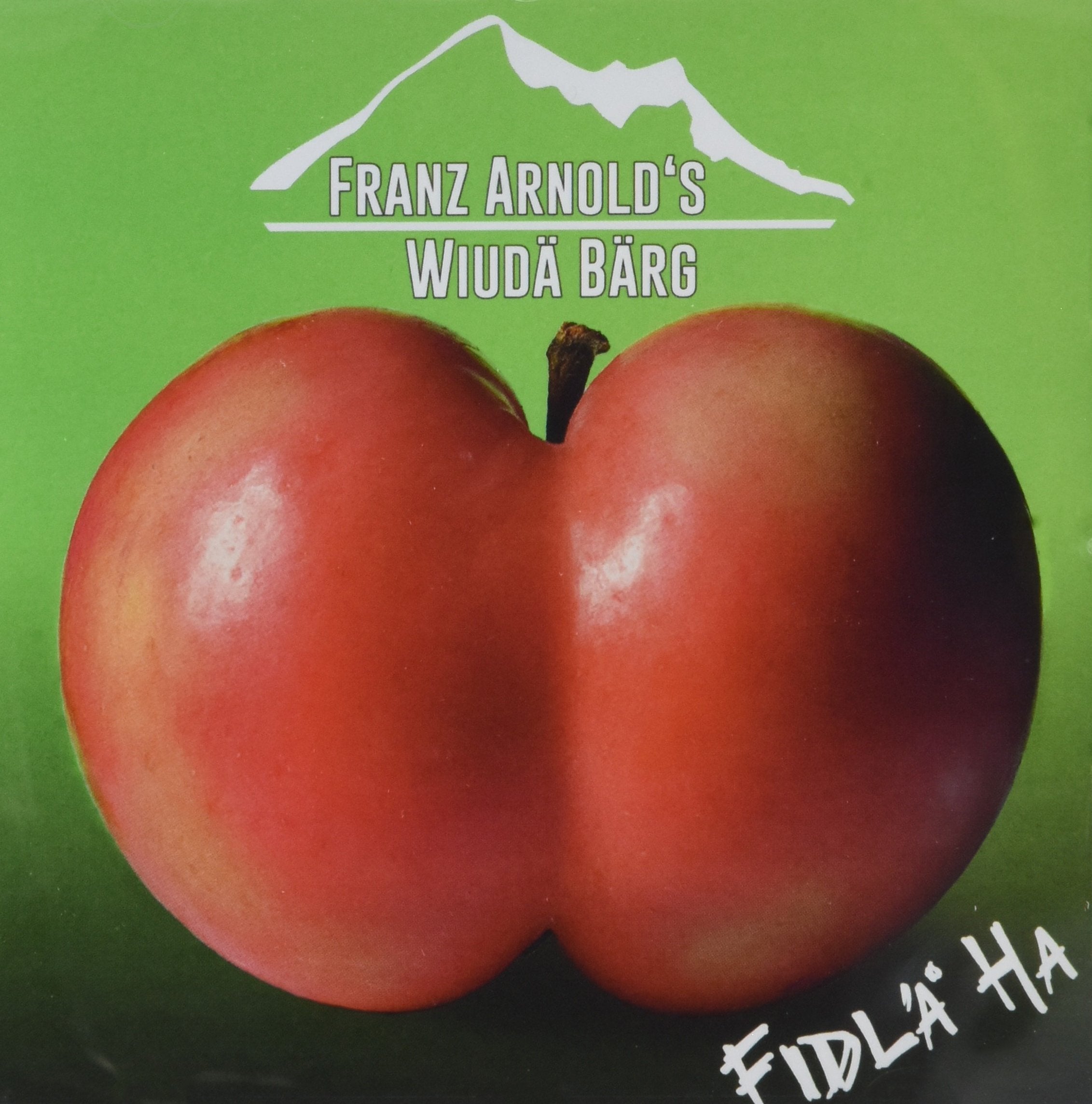 Fidl Ha Music