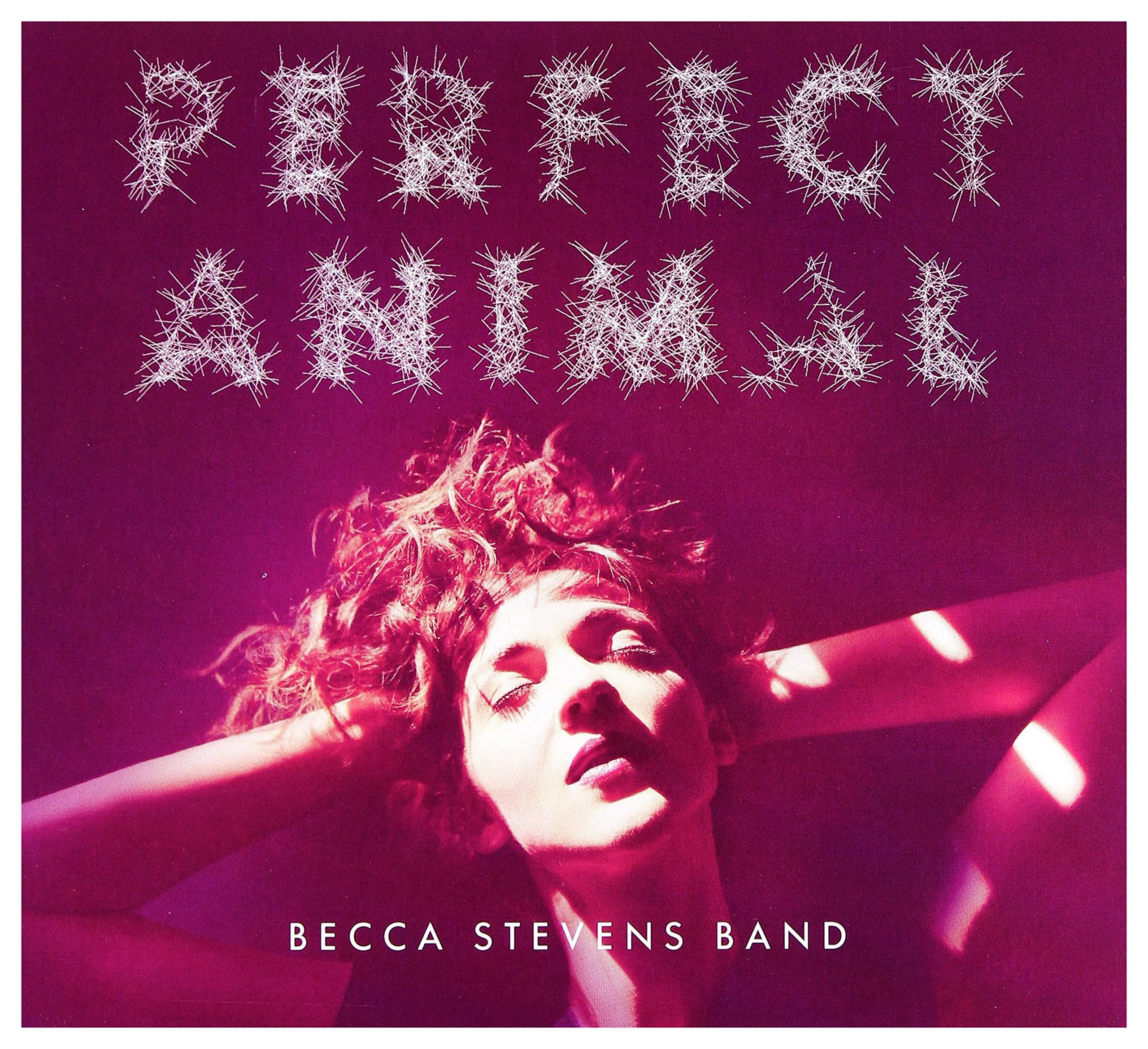 Perfect Animal Alternative & Indie