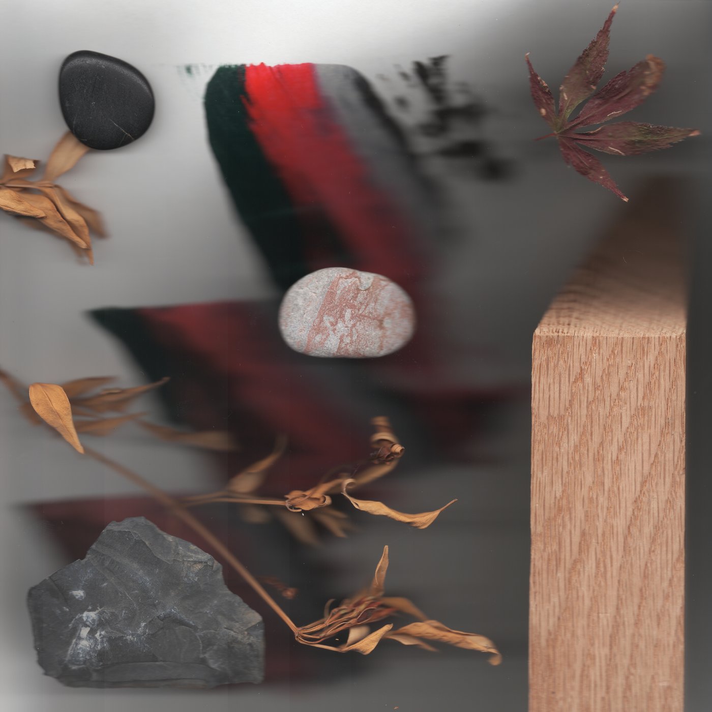 MAKING TIME (LTD. DIGI) Pop