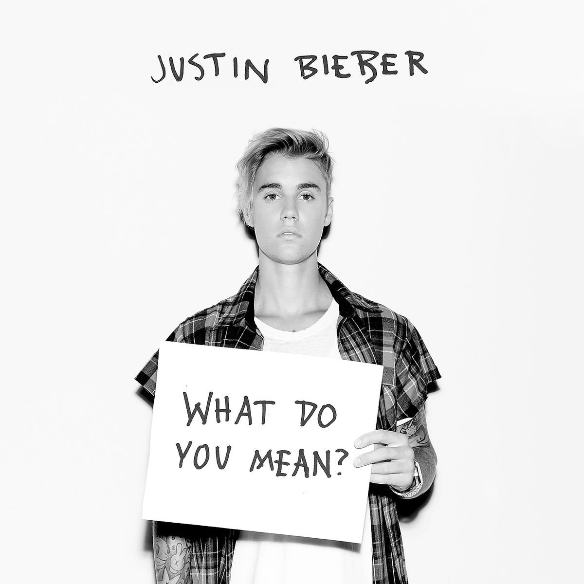 What Do You Mean? (2-Track) Pop