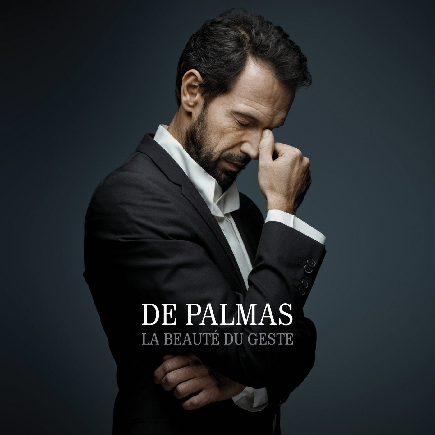 Product Image: Gerald De Palmas - La Beaute Du Geste