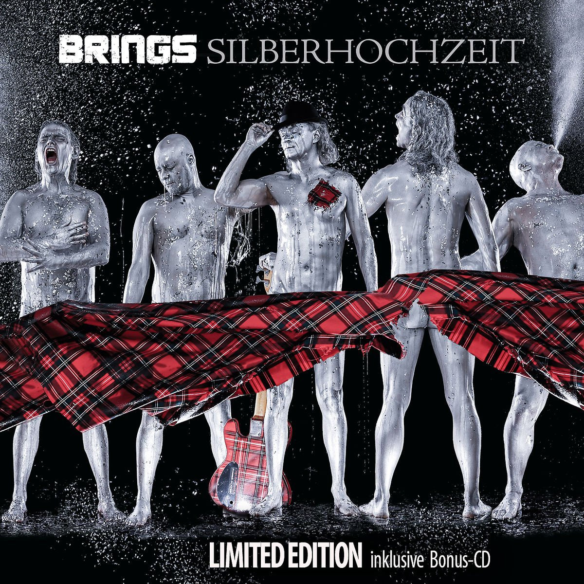 Silberhochzeit (Best of) (Limited Edition) Rock