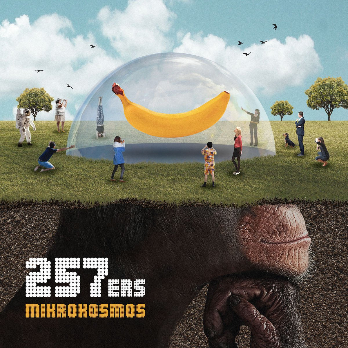 Mikrokosmos (Limited Deluxe Brotdose) Rap & Hip-Hop
