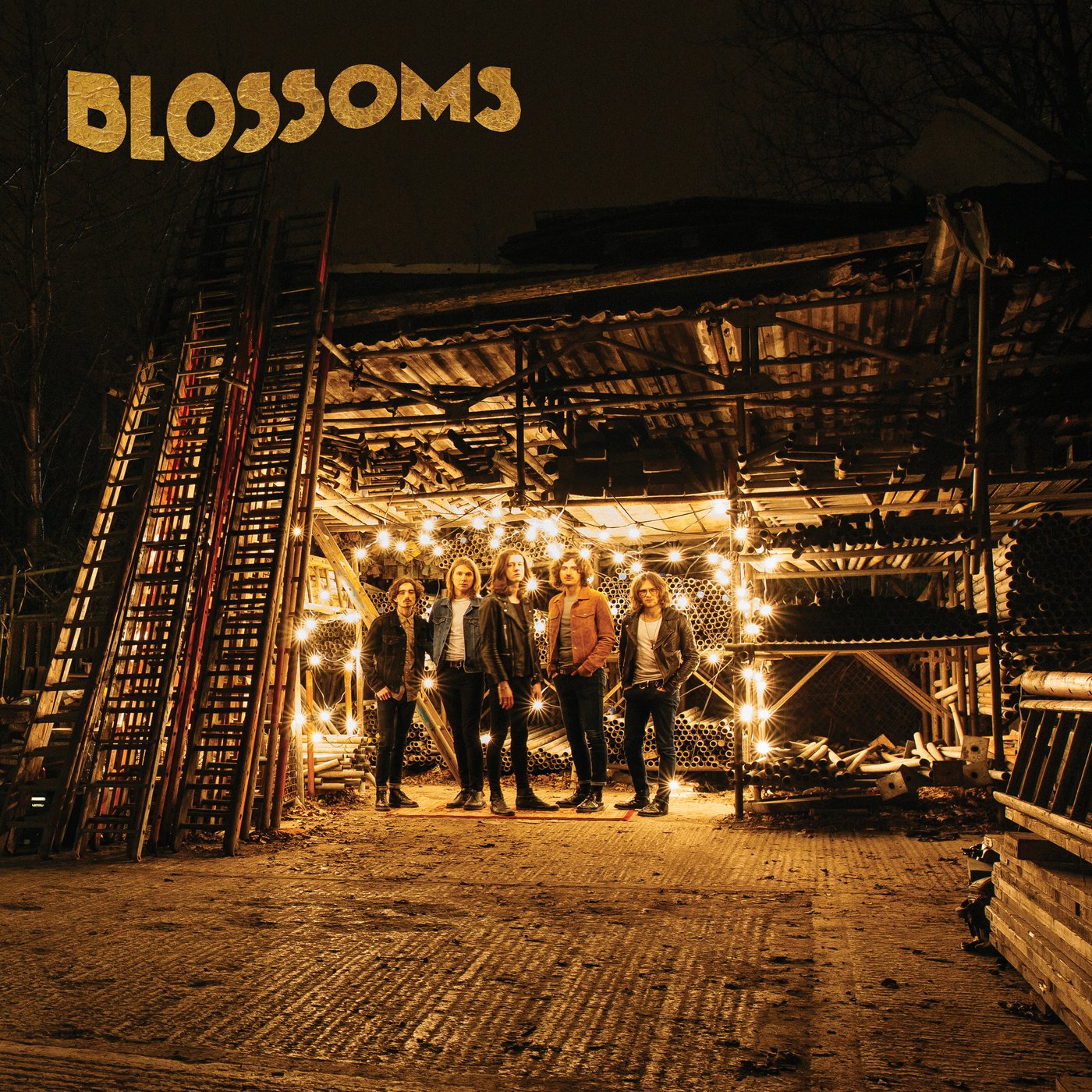 Blossoms Rock