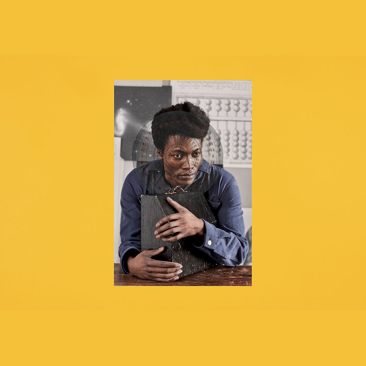 Product Image: I Tell A Fly (Limited 2LP)