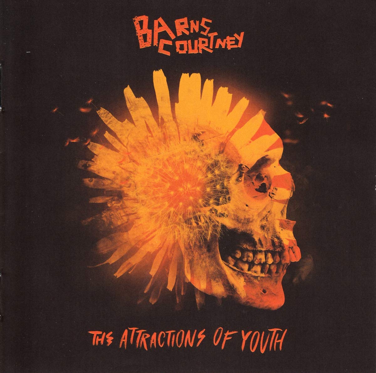 Attractions of Youth Country & Folk