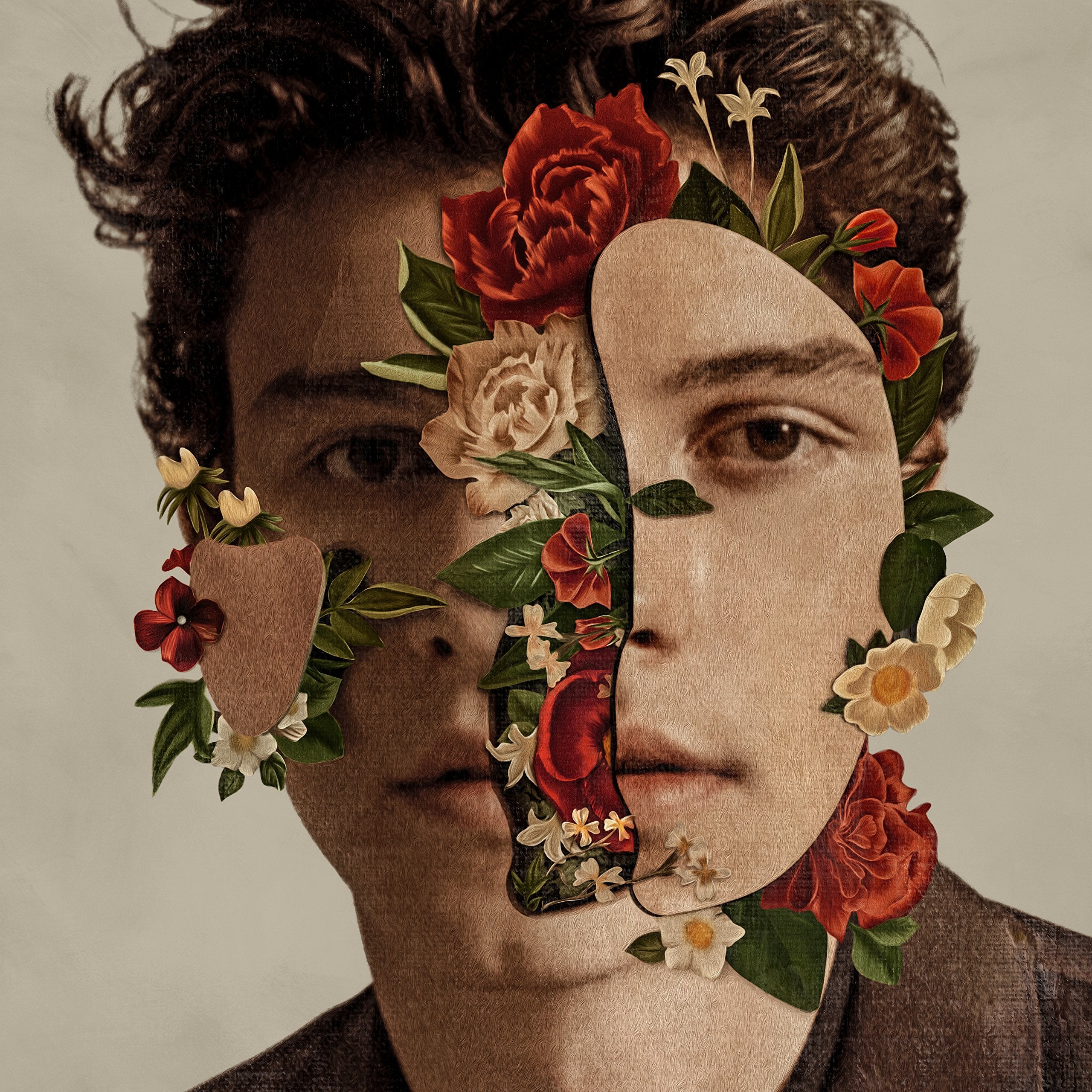 Shawn Mendes Pop