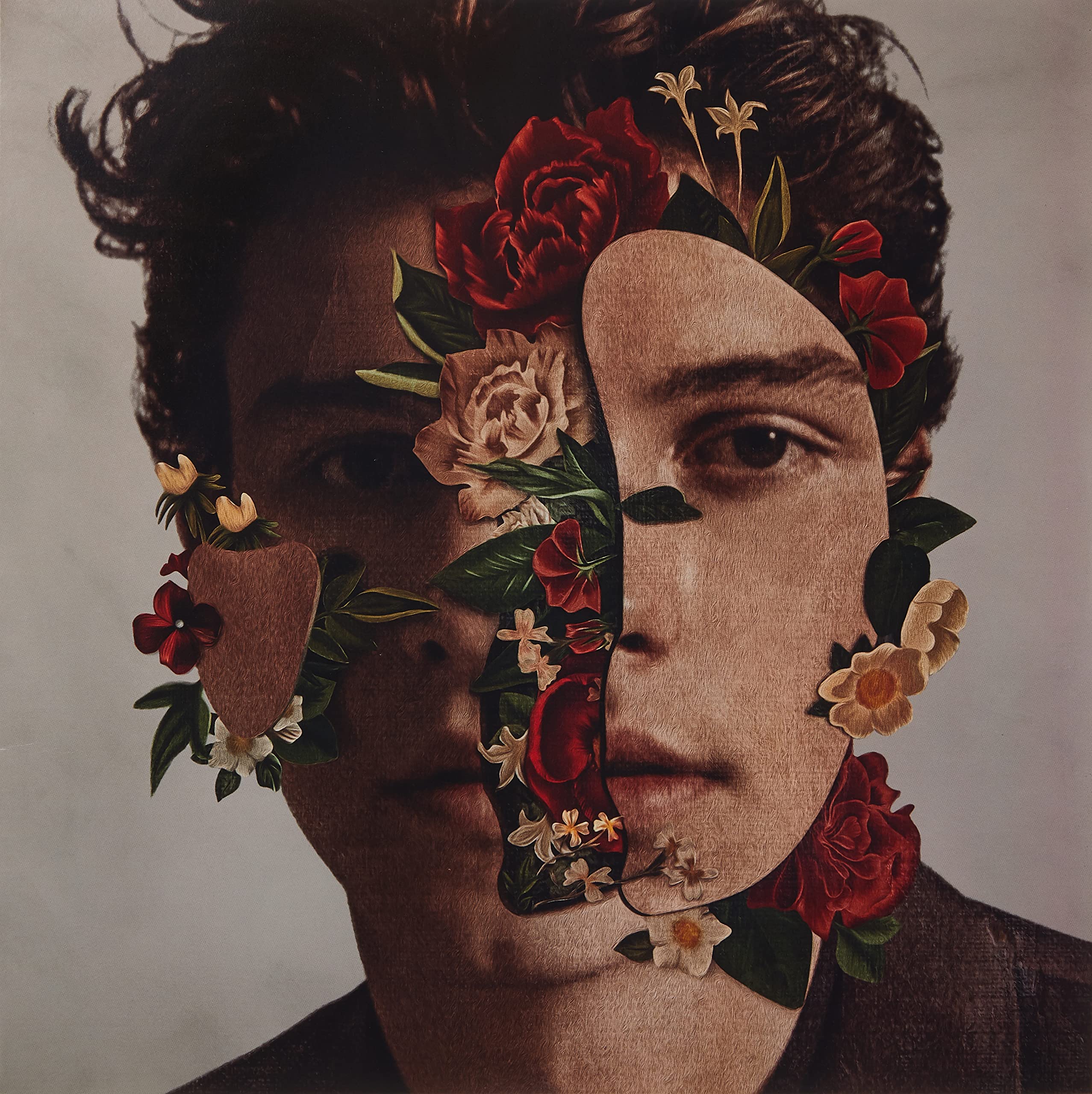 Shawn Mendes (Vinyl) Dance & Electronic