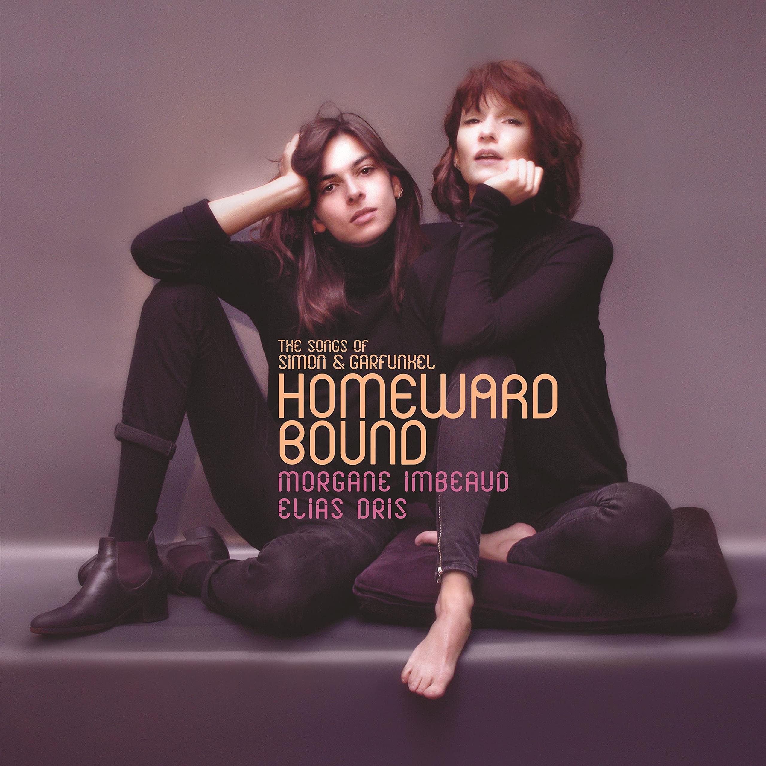 Homeward Bound : the Songs of Simon and Garfunkel cd