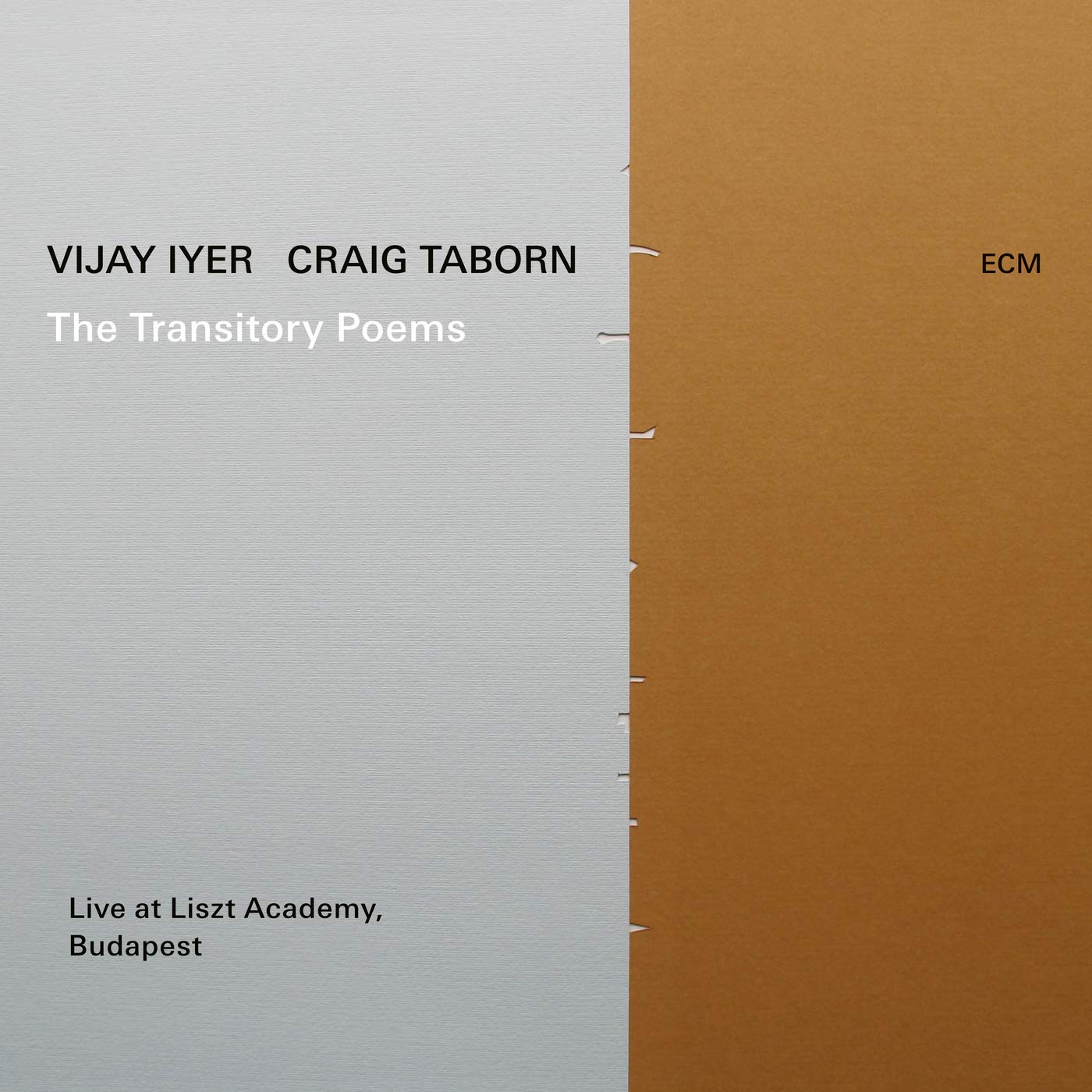Product Image: The Transitory Poems
