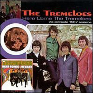 Here Come the Tremeloes: Definitive Collection Pop