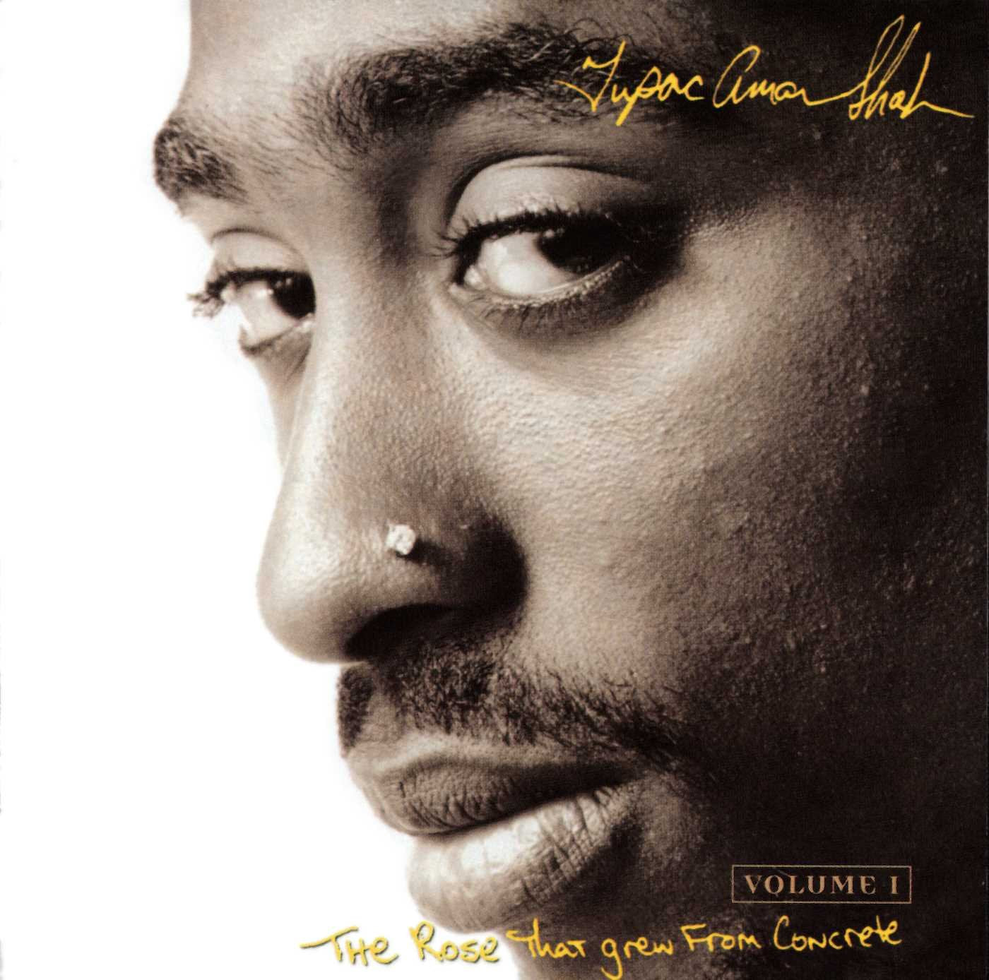 Rose That Grew From Concrete (2Pac Tribute Album) cd