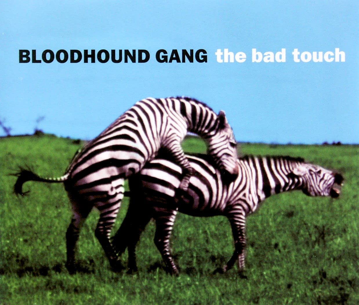 The Bad Touch Alternative & Indie