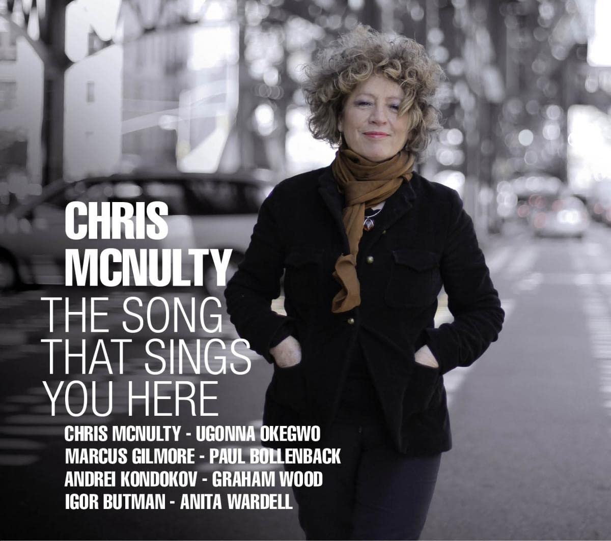 Product Image: The Song That Sings You Here