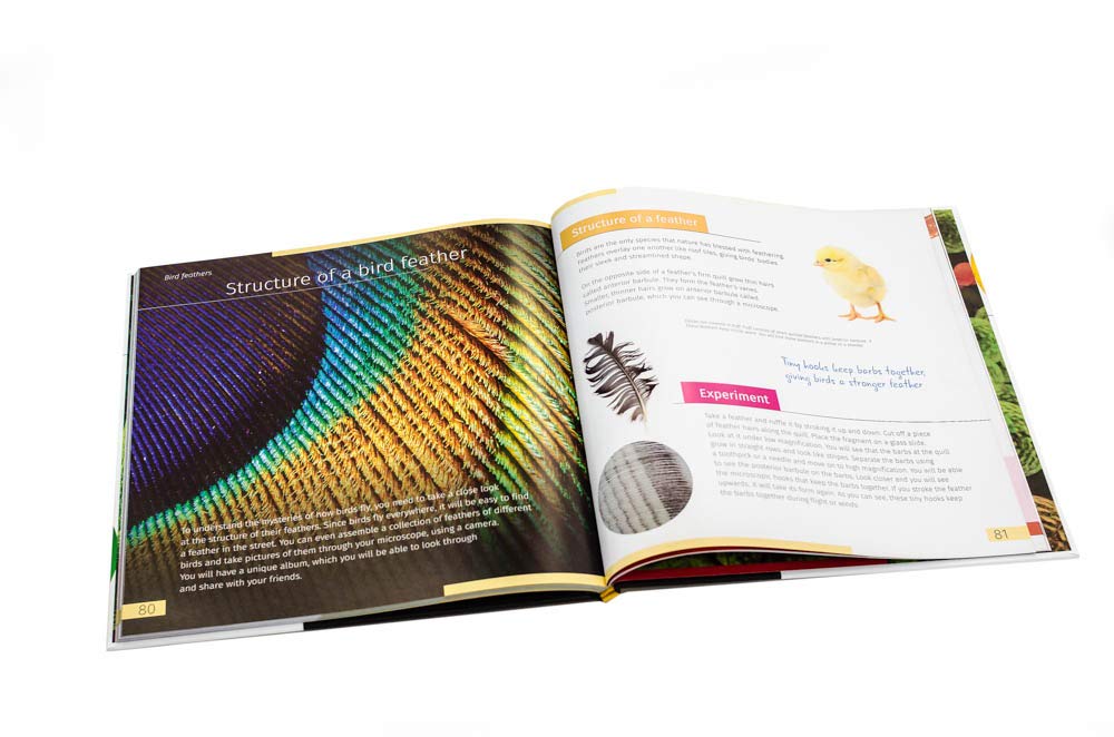 Invisible World. („Die Unsichtbare Welt“) Wissensbuch Über Biologie, Mikroskope und Die Mikrowelt für Grund- und Sekundarschüler Books