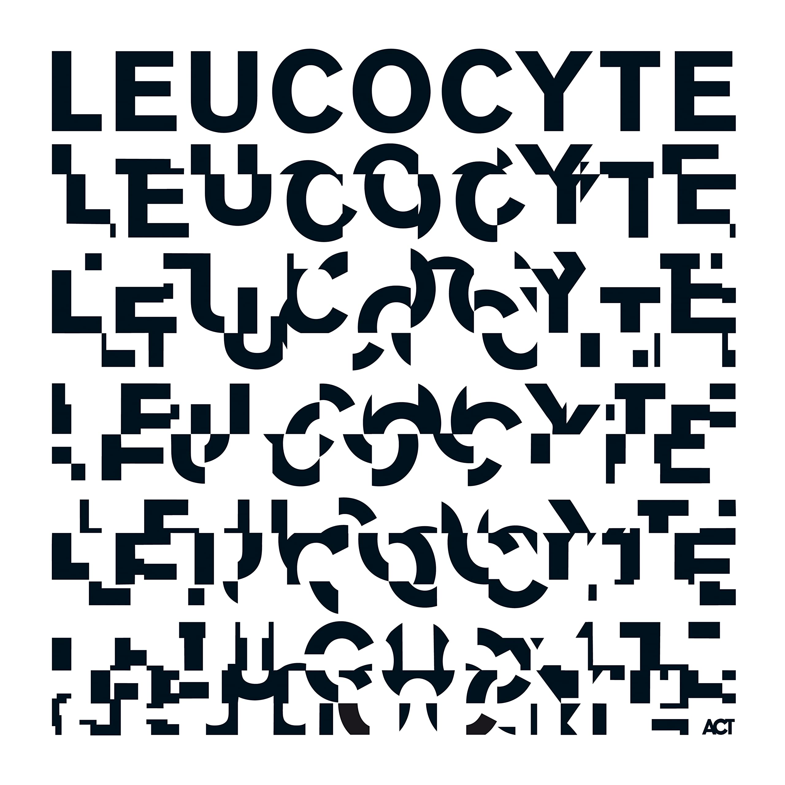 Leucocyte Dance & Electronic