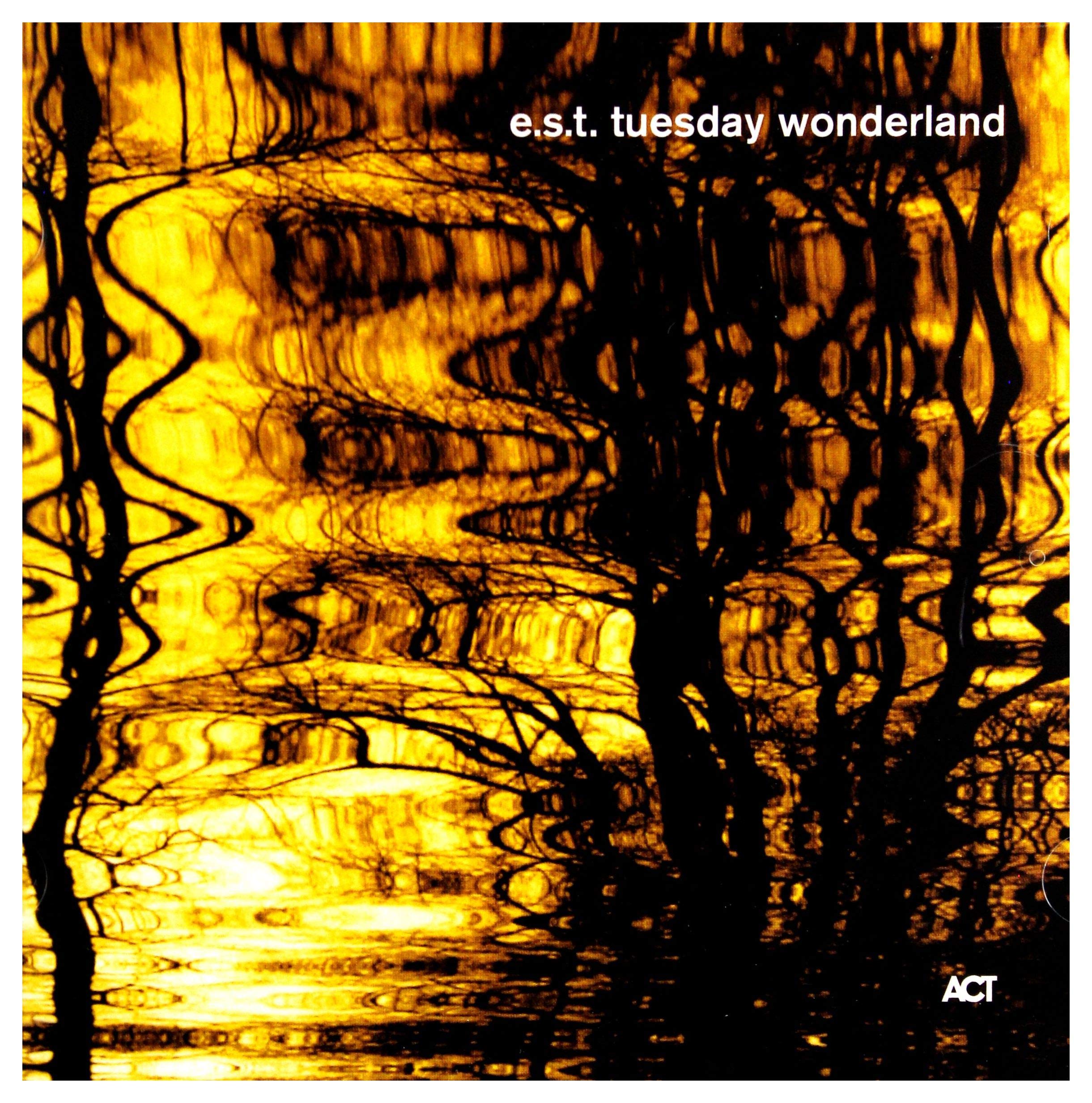 Tuesday Wonderland (Sacd) Rock