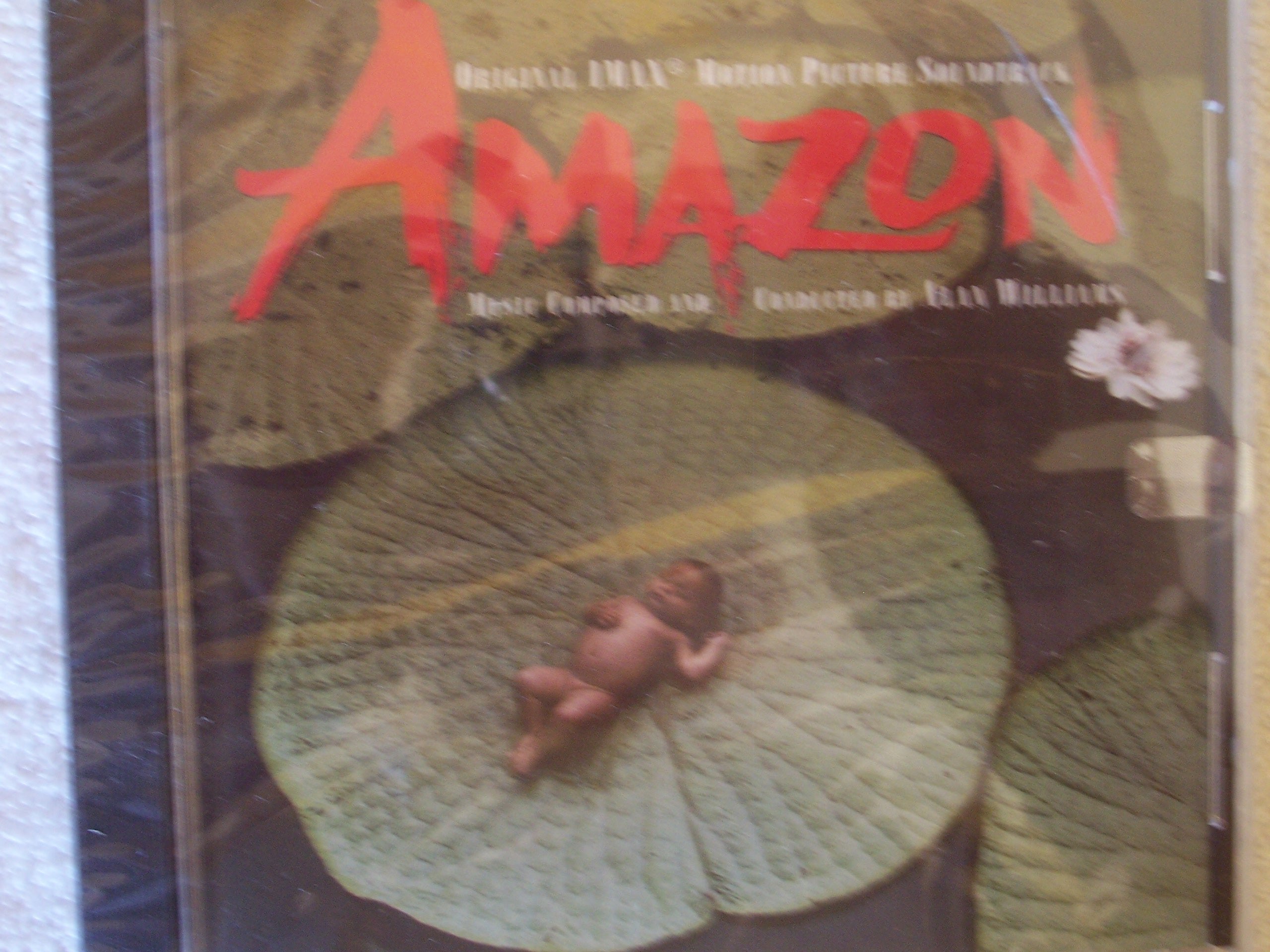 Amazon Pop