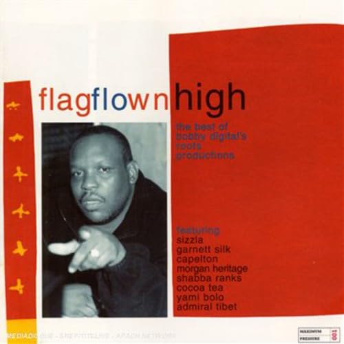 Flag Flown High - The Best Of Bobby Digital Productions Pop