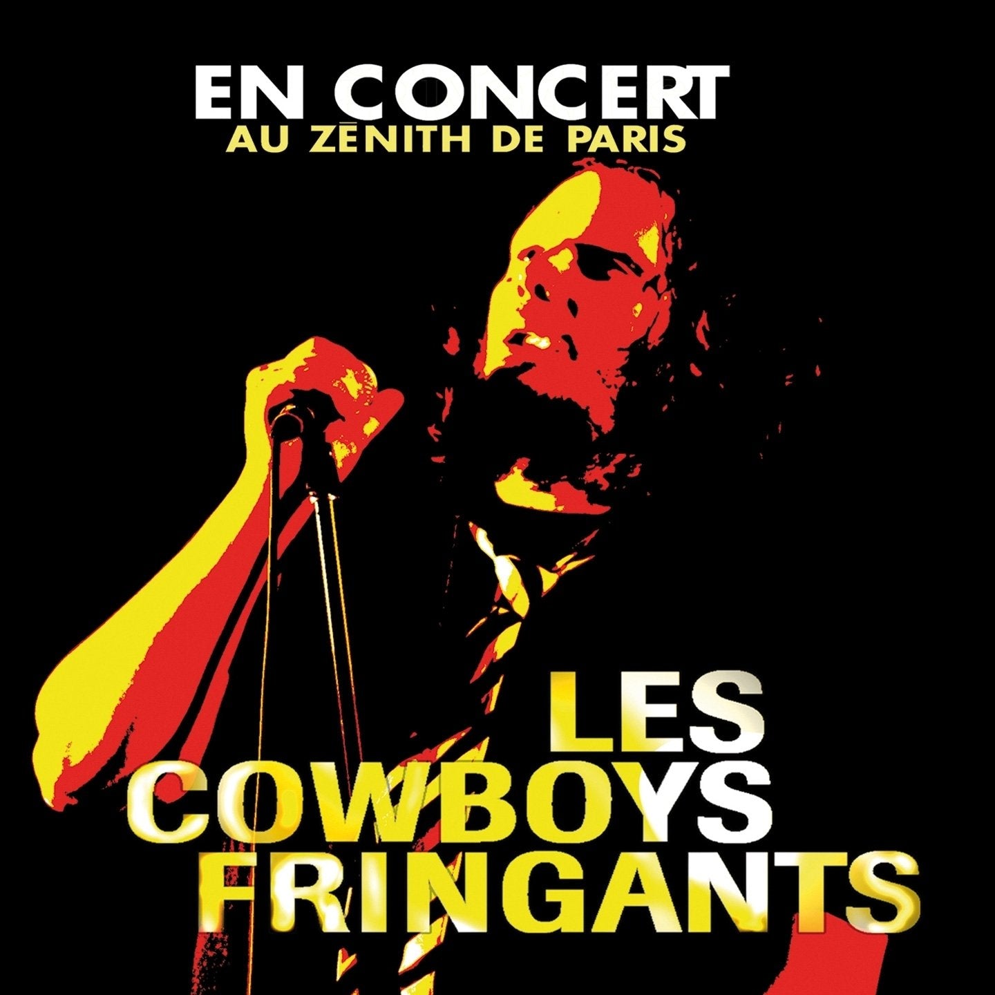 en Concert Au Zenith cd