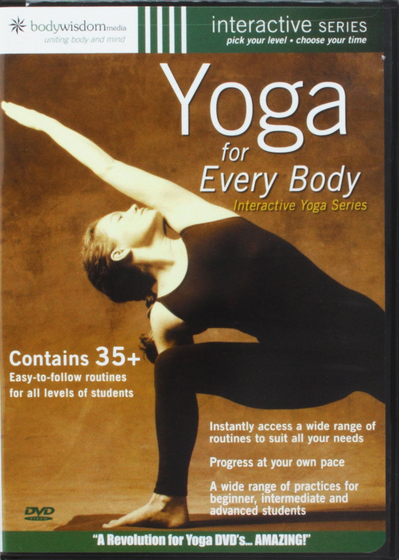 Yoga For Every Body (2002) J.J. Gorrmley; Michael Wohl (japan import) Films