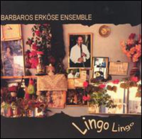 Product Image: Lingo Lingo