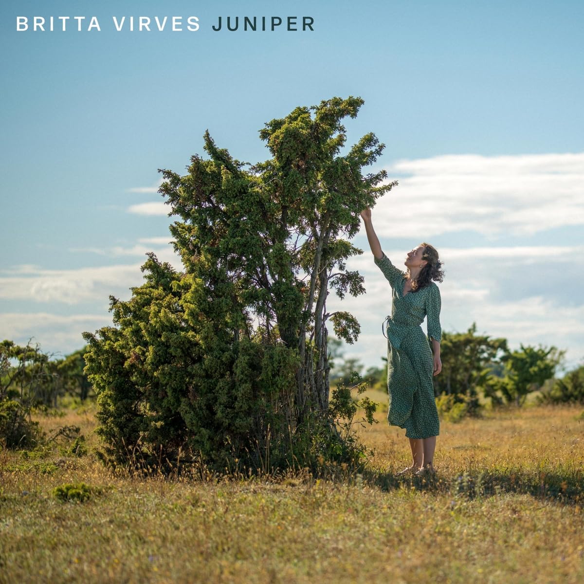 Juniper Jazz