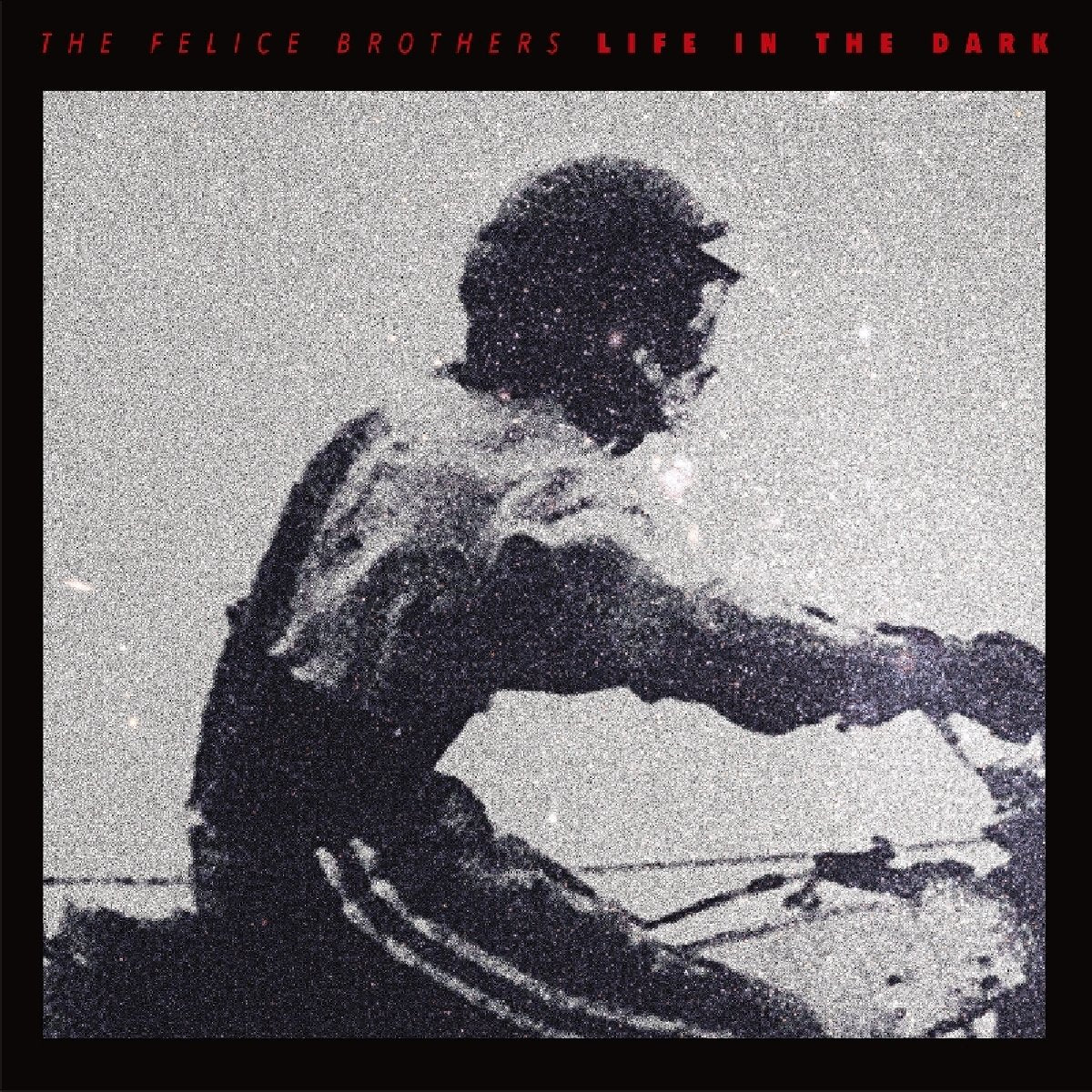 Life in the Dark Rock