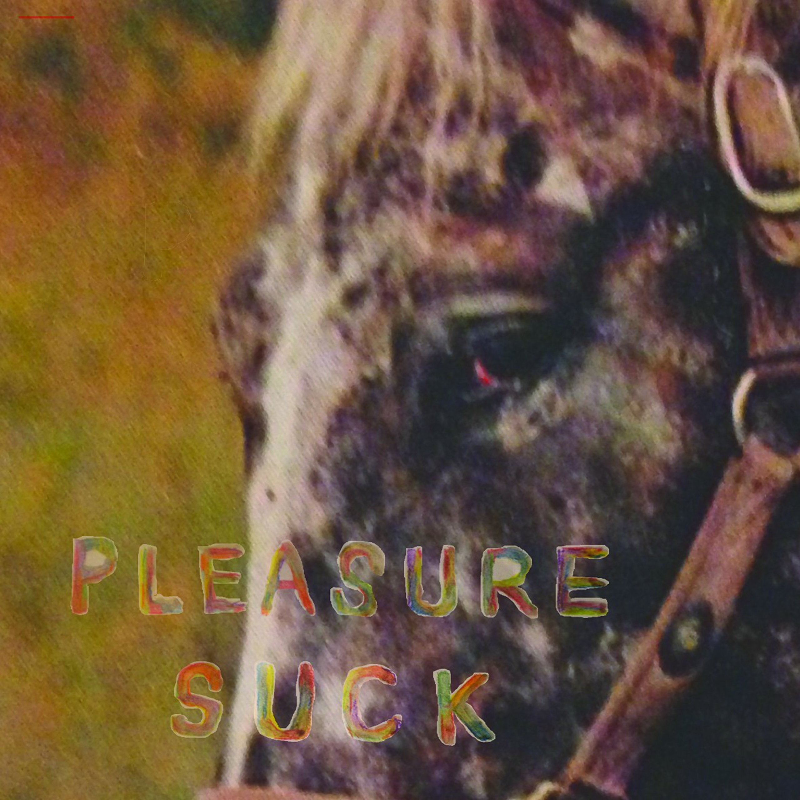 Pleasure Suck cd