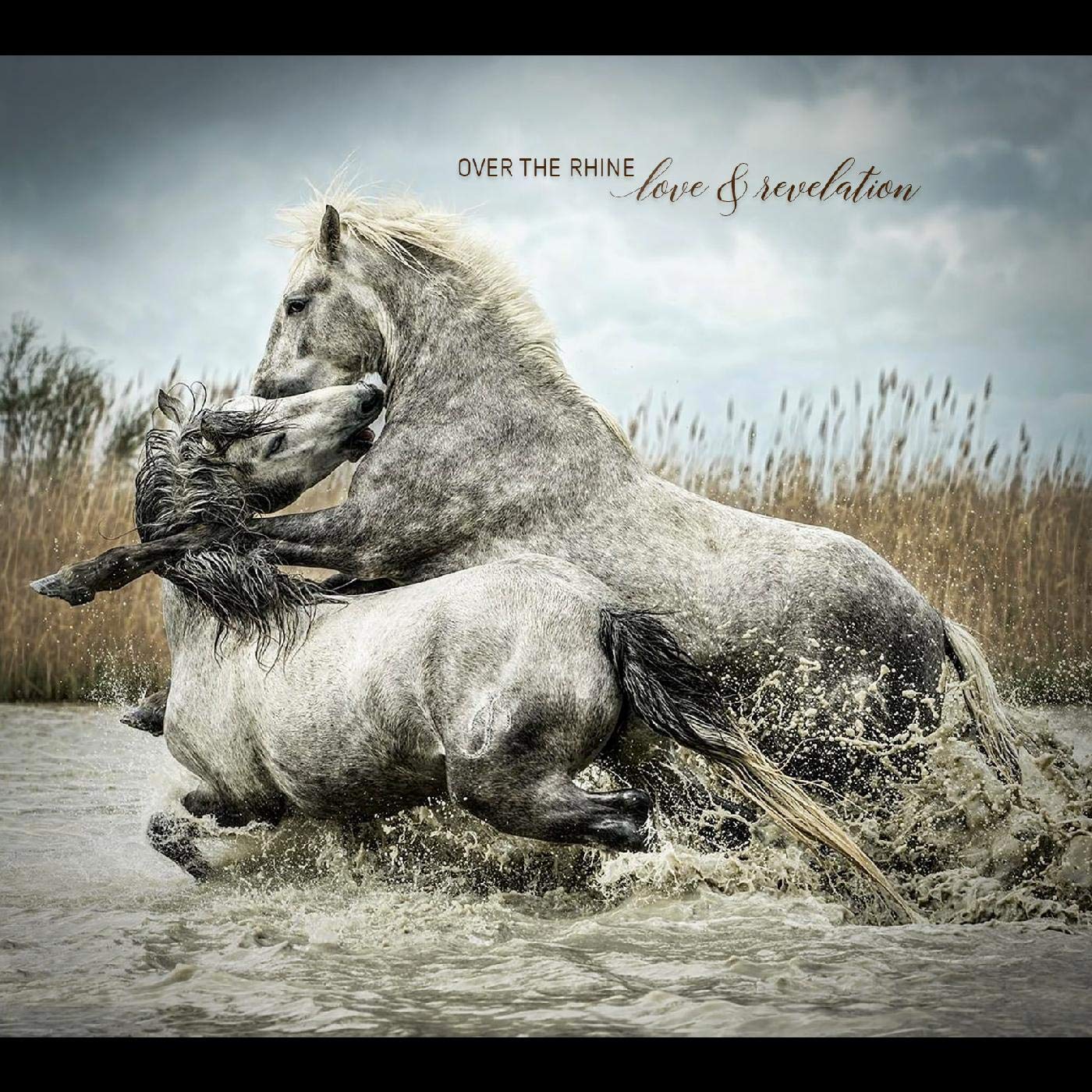 Love and Revelation/Inclus Un Code de Telechargement cd