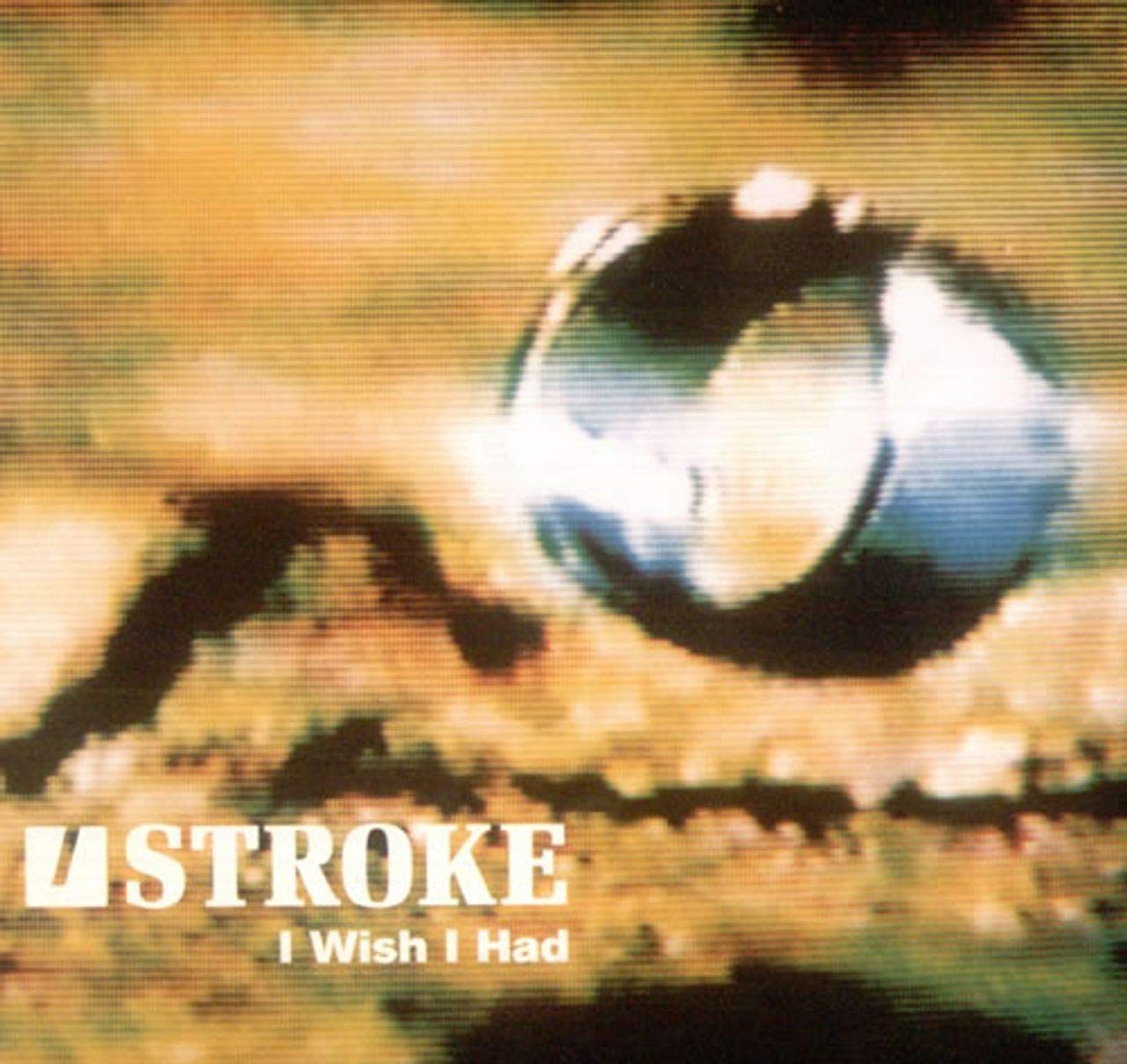 I Wish I Had Dance & Electronic