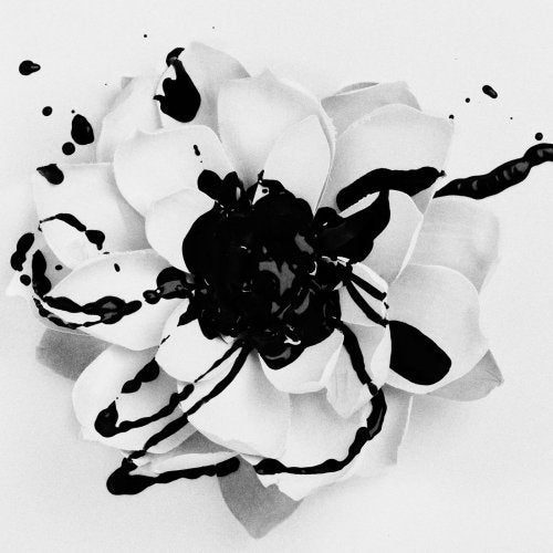 Product Image: White Lotus