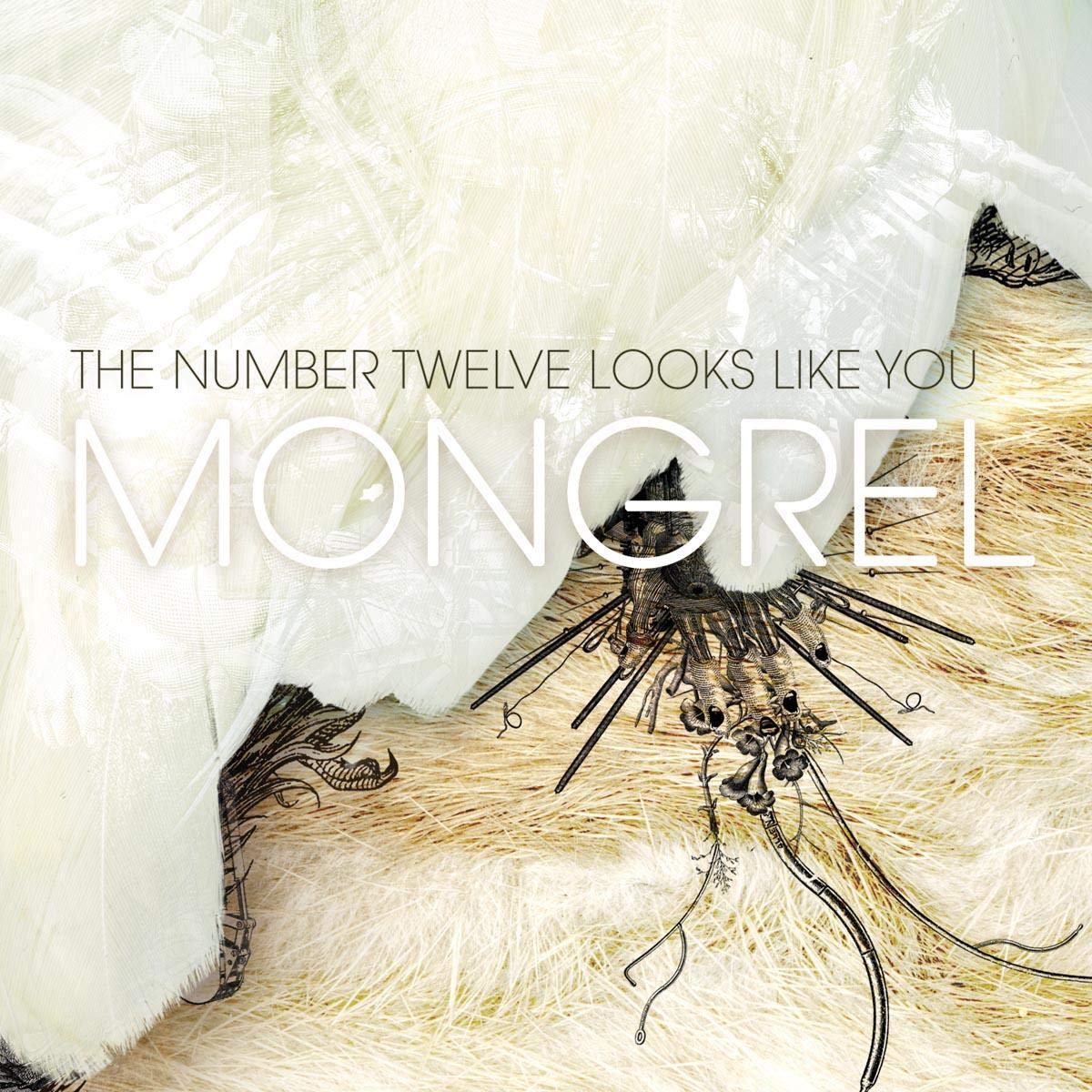Number Twelve Looks Like You - Mongrel cd