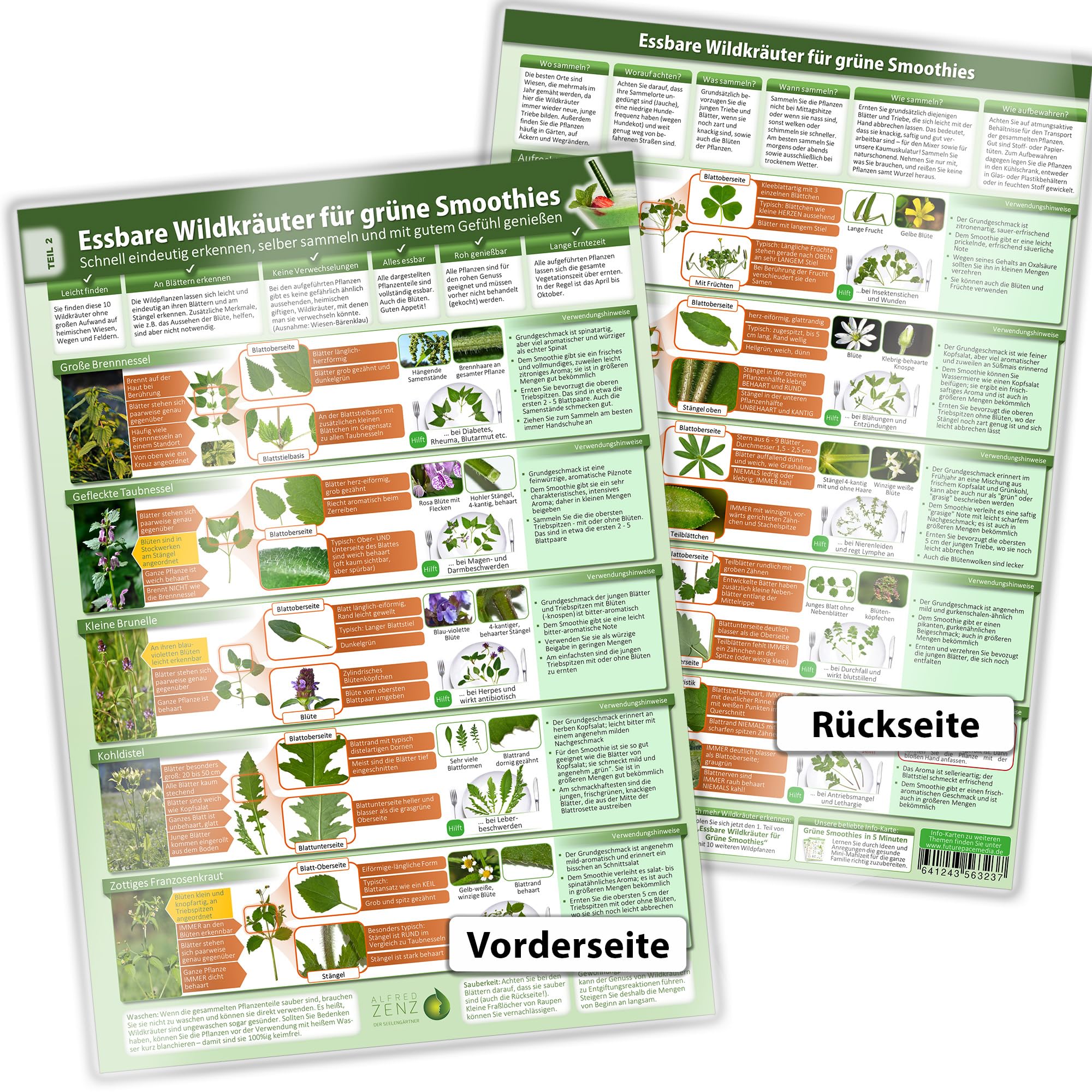 Essbare Wildkräuter für Grüne Smoothies - Erkennungskarte Teil 1 - Natürliche Frische erleben (2024) – Erkunde, sammle und genieße essbare Wildkräuter ... selber sammeln und mit gutem Gefühl genießen) book